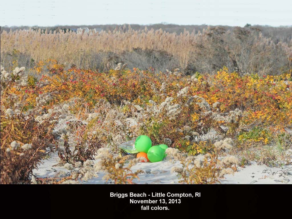 balloons-2013-AA-Briggs-Beach-b