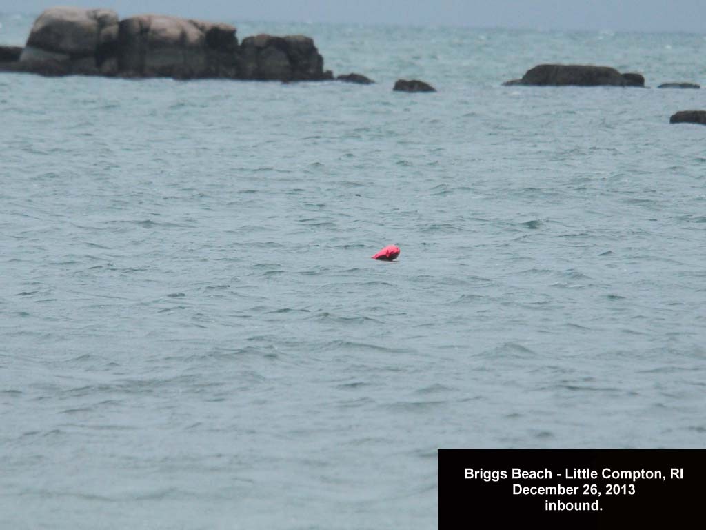 balloons-2013-AB-Briggs-Beach