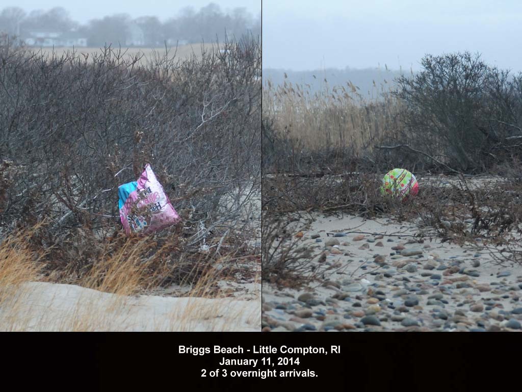 balloons-2014-AA-Briggs-Beach