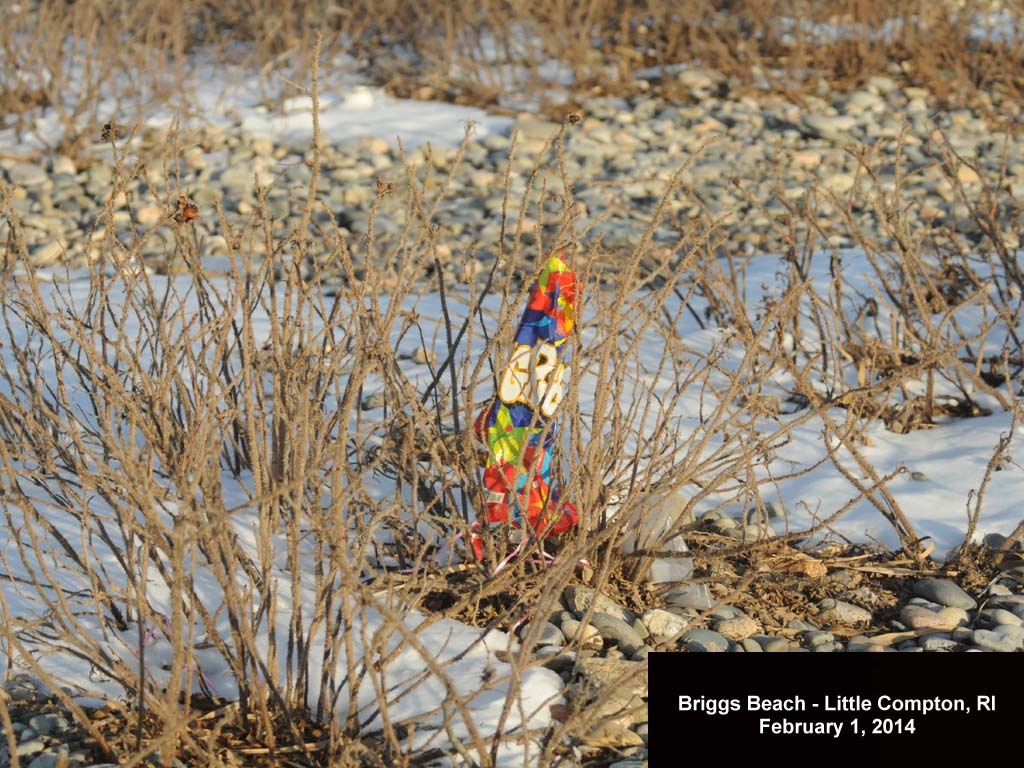 balloons-2014-AB-Briggs-Beach