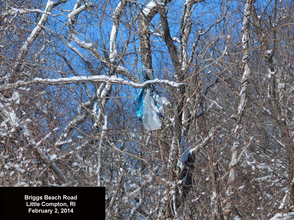 balloons-2014-AC-Briggs-Beach