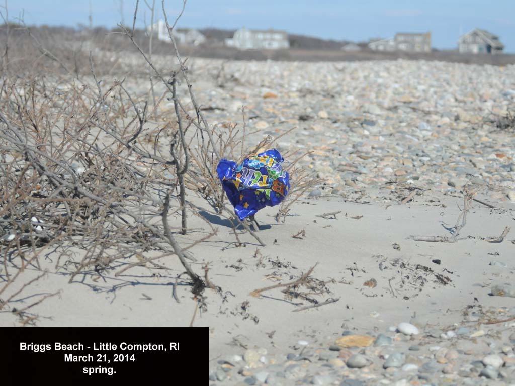 balloons-2014-AD-Briggs-Beach