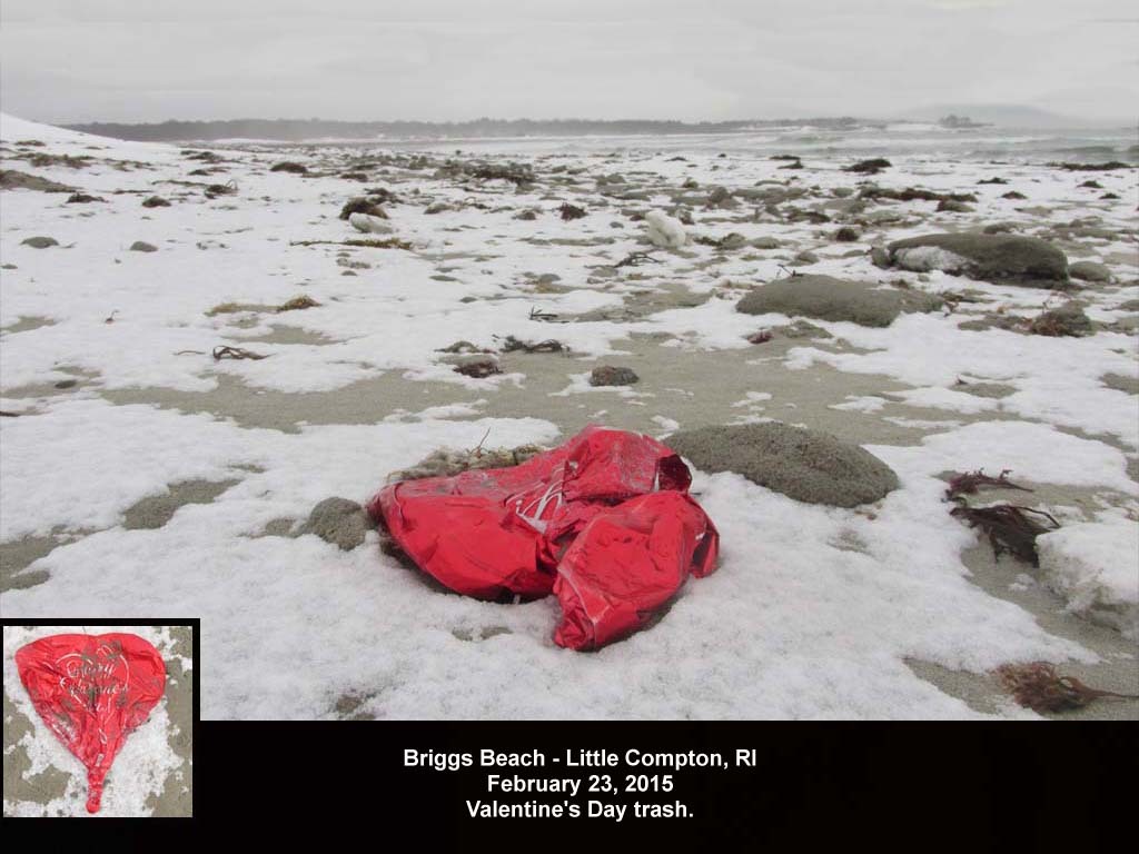 balloons-2015-AA-Briggs-Beach