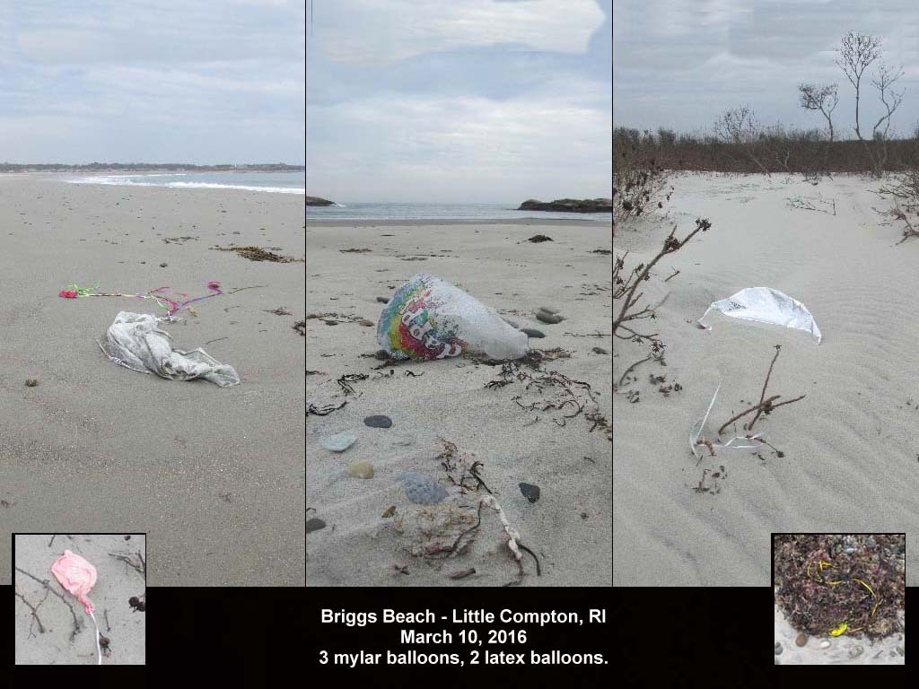 balloons-2016-AD-Briggs-Beach