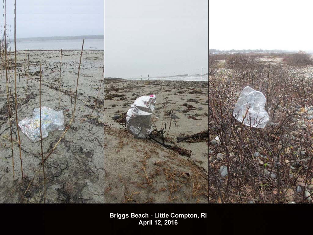 balloons-2016-AE-Briggs-Beach