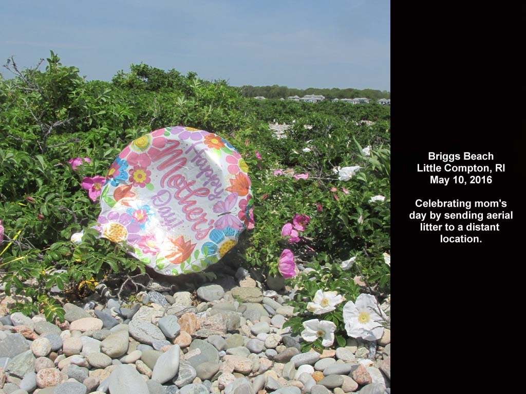 balloons-2016-AF-Briggs-Beach