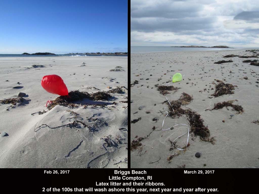 balloons-2017-AC-Briggs-Beach