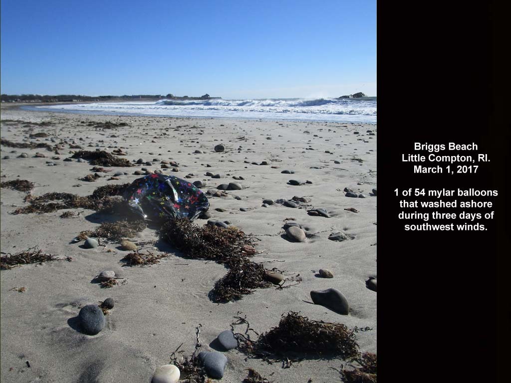 balloons-2017-AD-Briggs-Beach