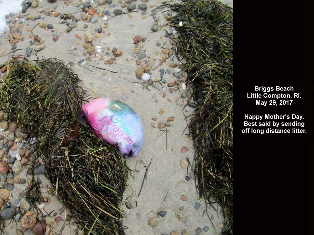 balloons-2017-AF-Briggs-Beach