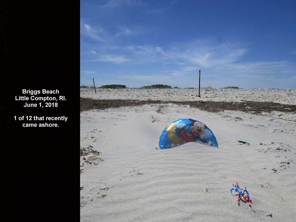 balloons-2018-AB-Briggs-Beach