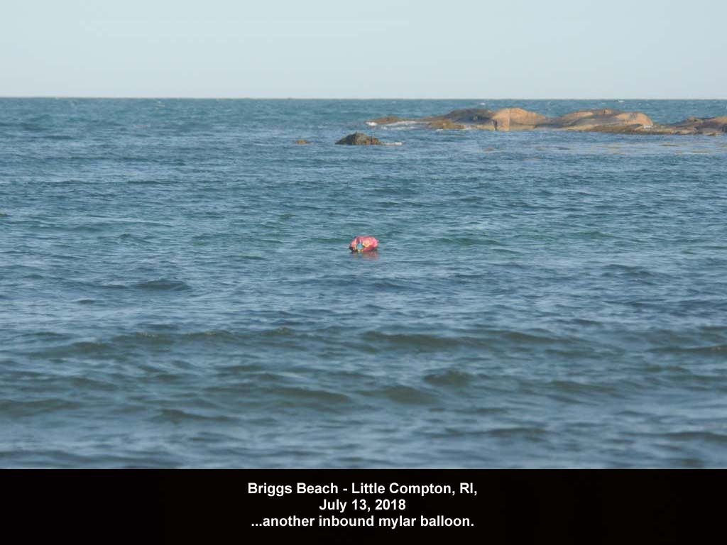 balloons-2018-AE-Briggs-Beach
