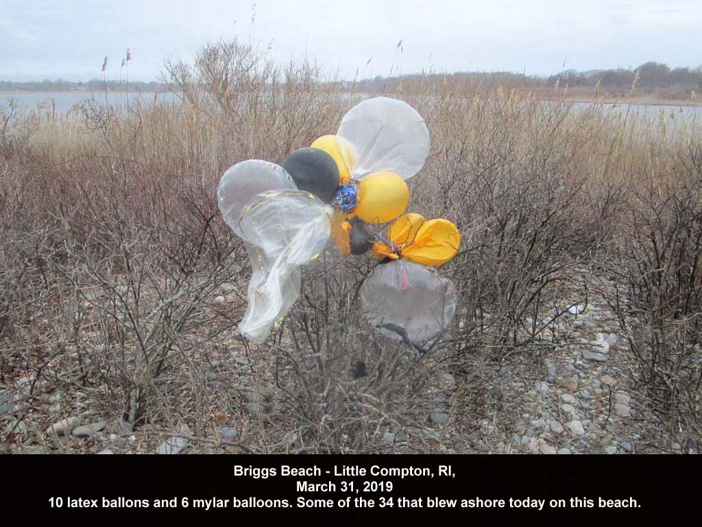 balloons-2019-AB-Briggs-Beach