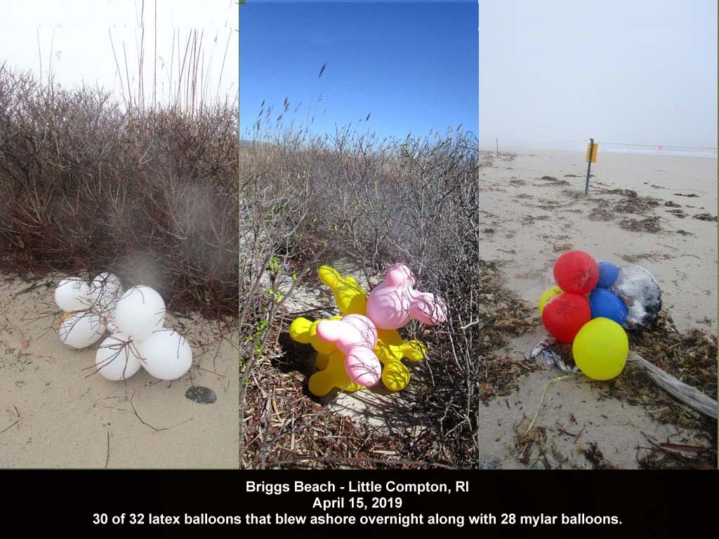balloons-2019-AE-Briggs-Beach