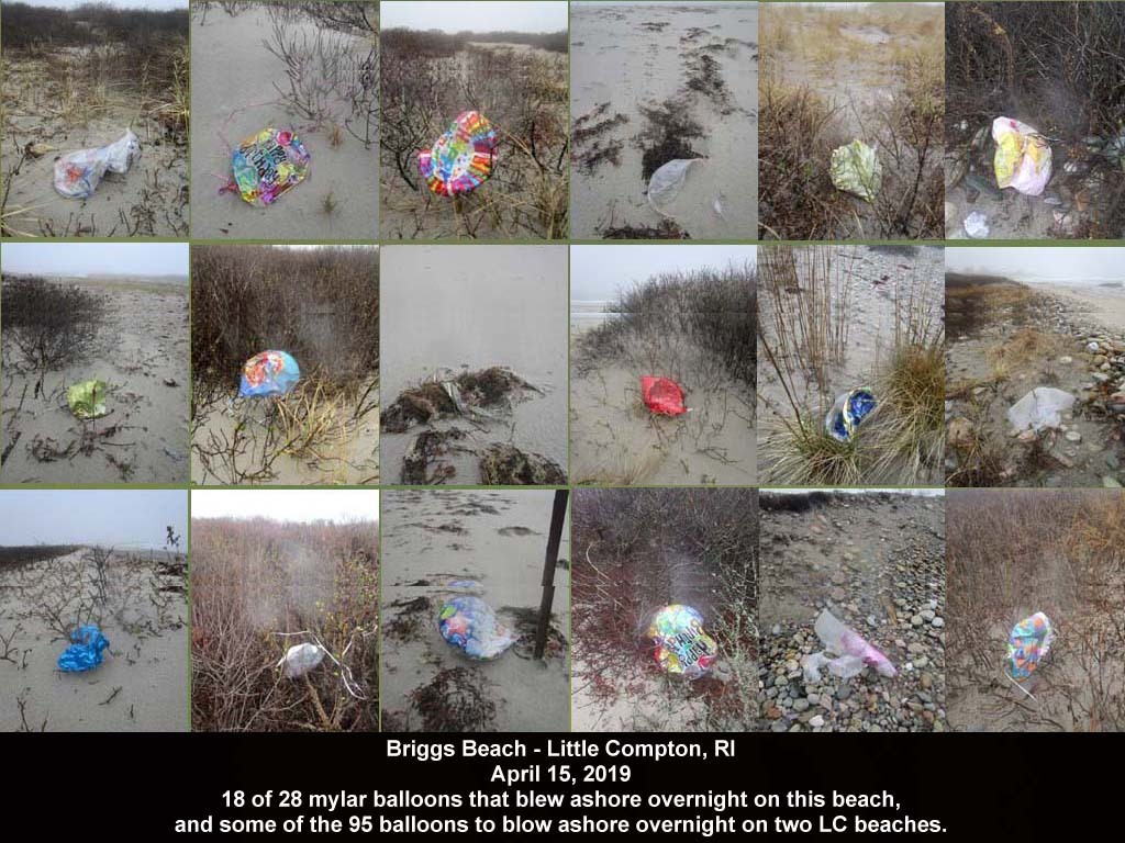 balloons-2019-AF-Briggs-Beach