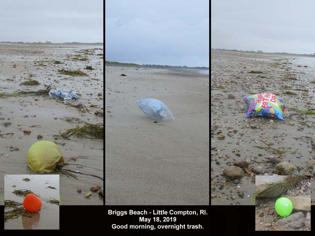 balloons-2019-AH-Briggs-Beach