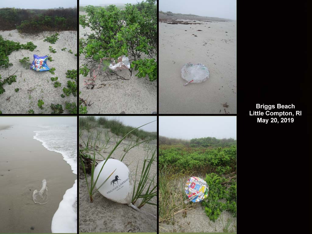 balloons-2019-AI-Briggs-Beach