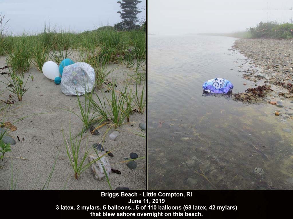 balloons-2019-AJ-Briggs-Beach