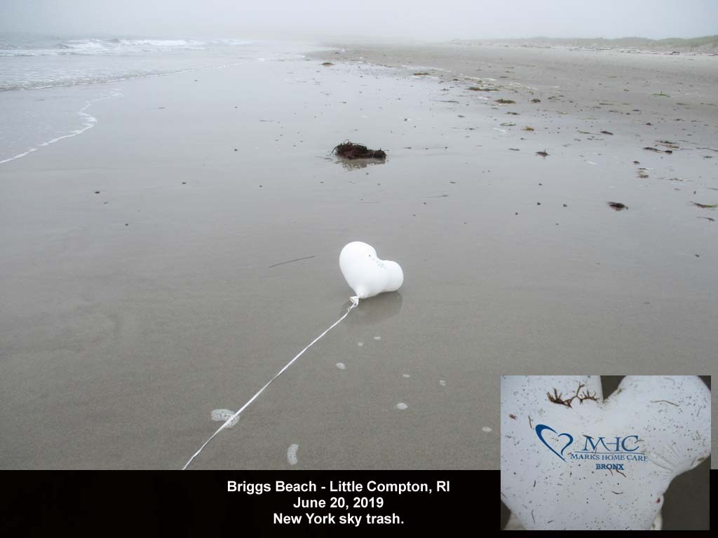 balloons-2019-AK-Briggs-Beach