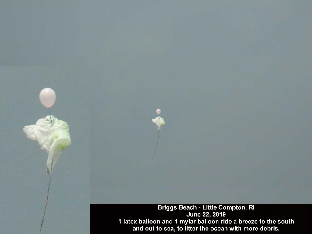 balloons-2019-AL-Briggs-Beach