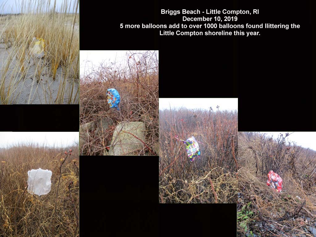 balloons-2019-AM-Briggs-Beach