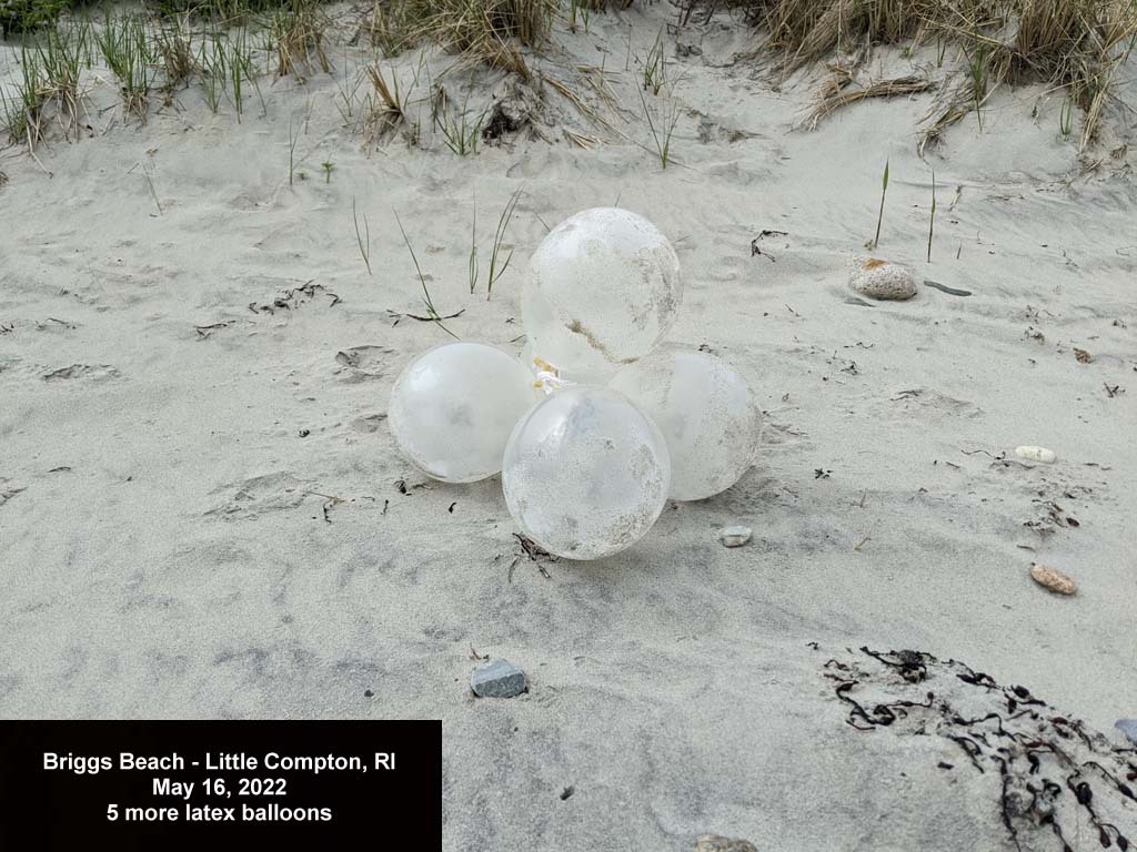 balloons-2022-AB-Briggs-Beach