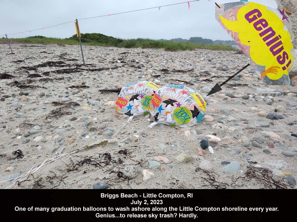 balloons-2023-AE-Briggs-Beach