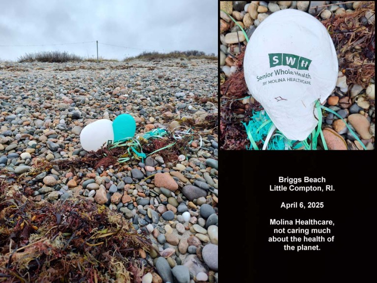 balloons-2025-AI-Briggs-Beach