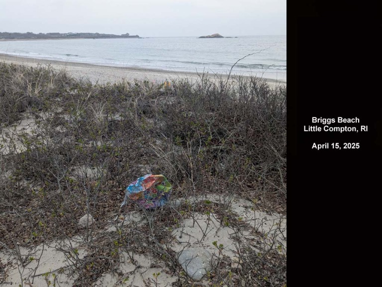 balloons-2025-AJa-Briggs-Beach