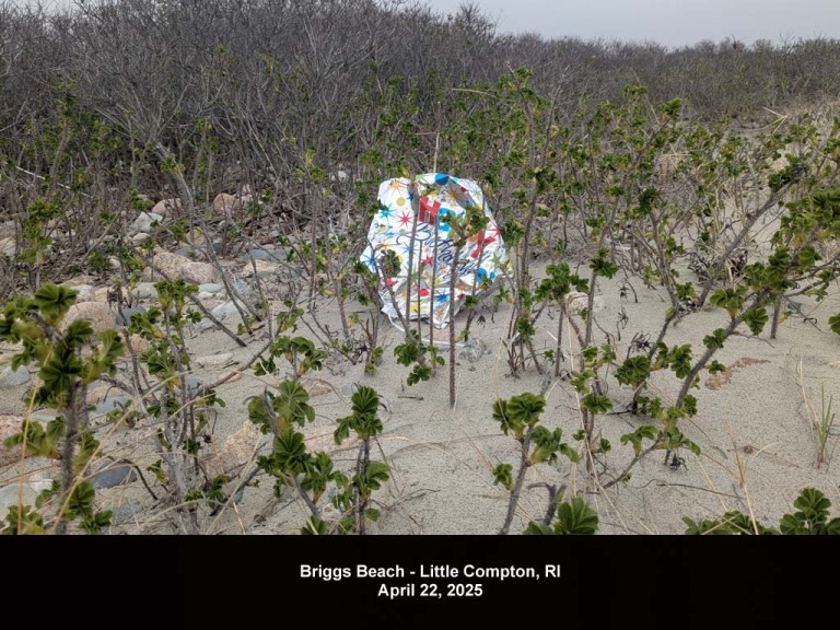 balloons-2025-AJb-Briggs-Beach