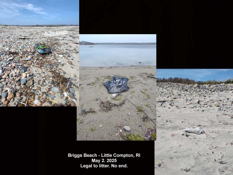 balloons-2025-AL-Briggs-Beach