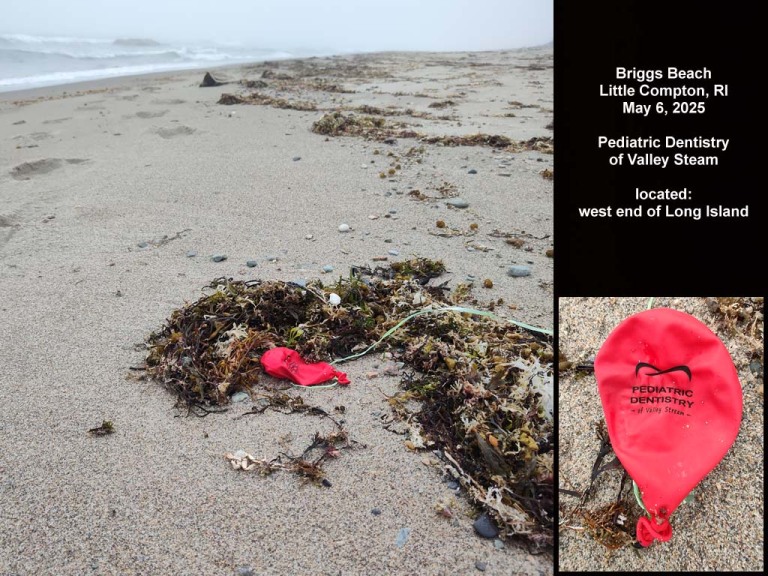 balloons-2025-AO-Briggs-Beach
