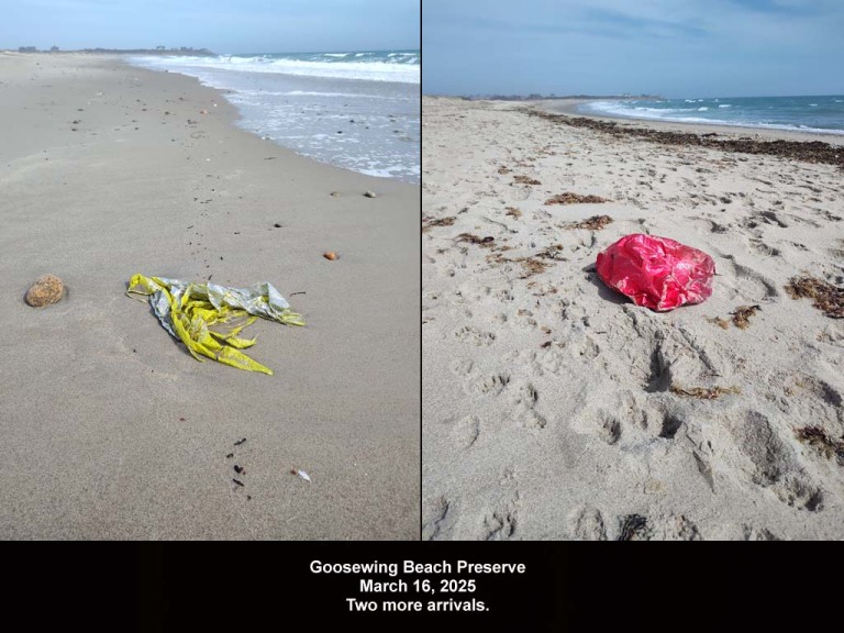 balloons-2025-AI-Goosewing-Beach