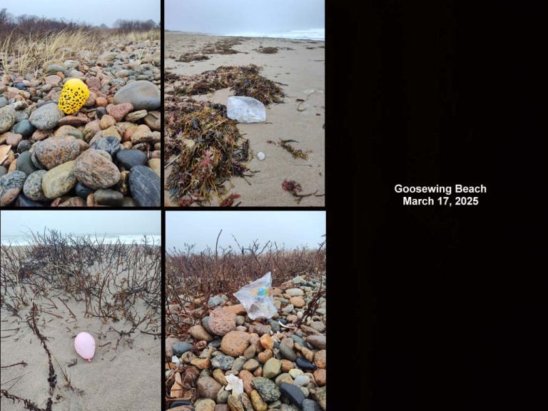 balloons-2025-AJ-Goosewing-Beach