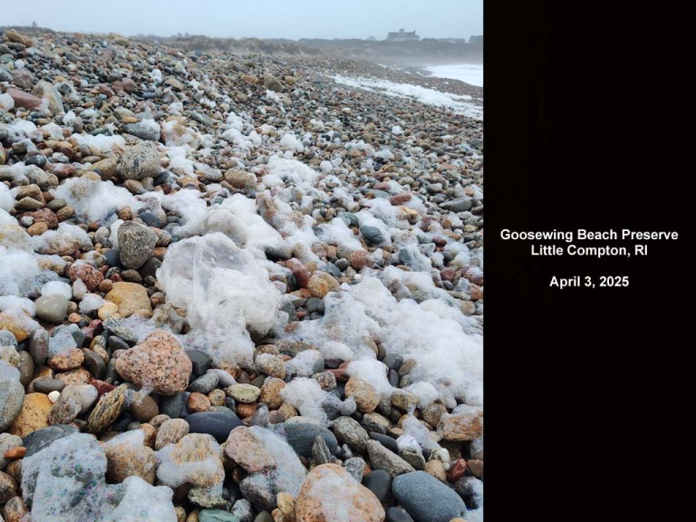 balloons-2025-AL-Goosewing-Beach