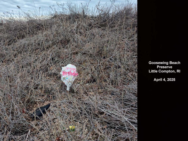 balloons-2025-AM-Goosewing-Beach