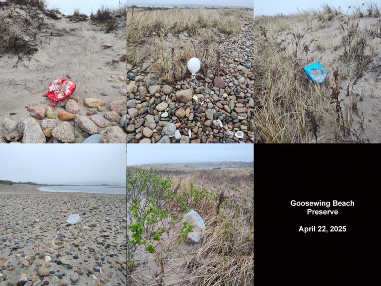 balloons-2025-AO-Goosewing-Beach