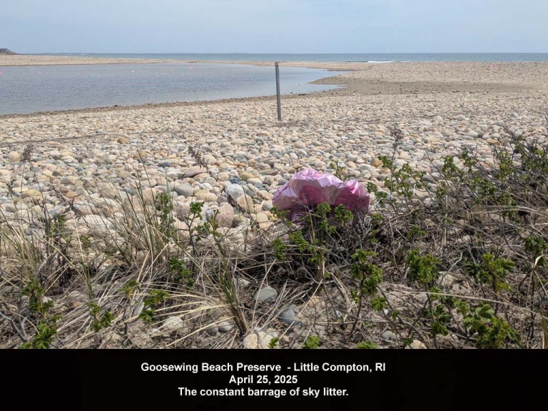 balloons-2025-AOb-Goosewing-Beach