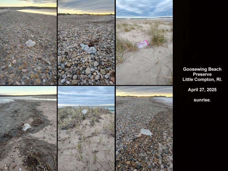 balloons-2025-AR-Goosewing-Beach