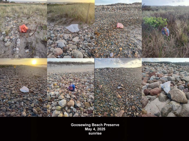 balloons-2025-AT-Goosewing-Beach
