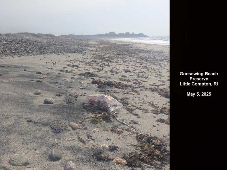 balloons-2025-AU-Goosewing-Beach