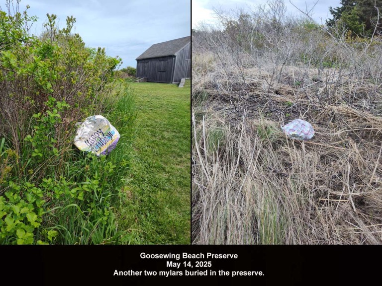 balloons-2025-AV-Goosewing-Beach