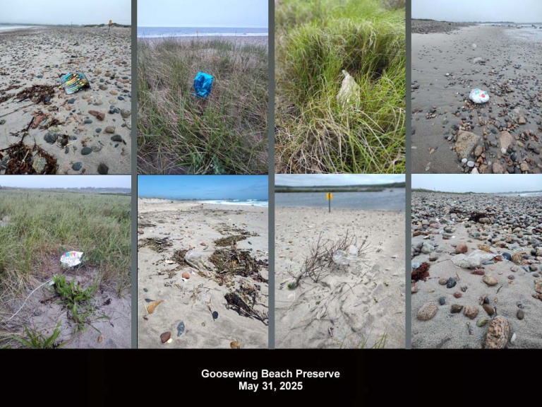 balloons-2025-AX-Goosewing-Beach