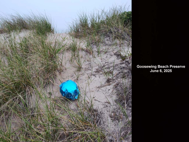 balloons-2025-AY-Goosewing-Beach