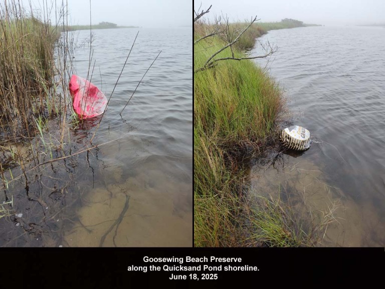 balloons-2025-BB-Goosewing-Beach