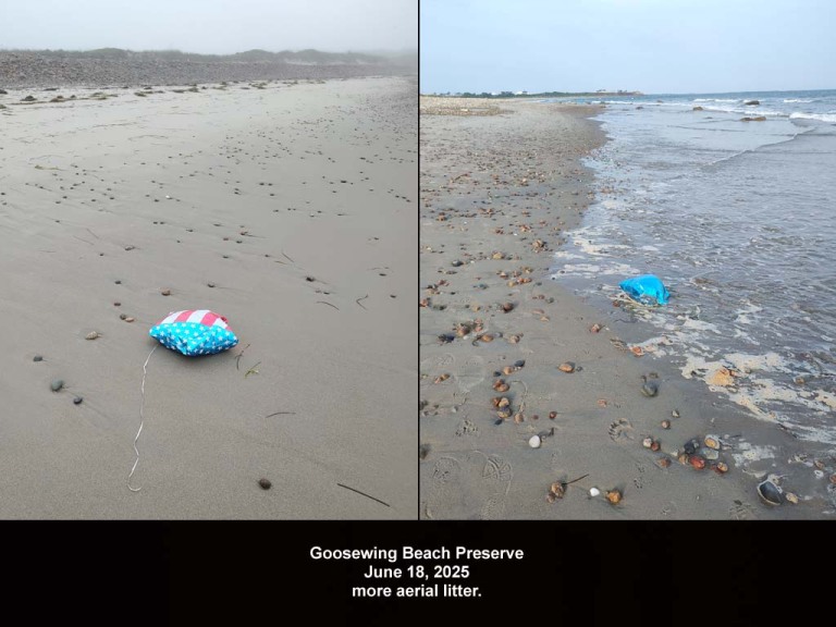 balloons-2025-BC-Goosewing-Beach