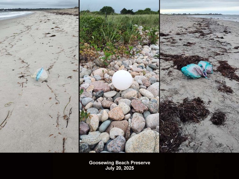 balloons-2025-BD-Goosewing-Beach