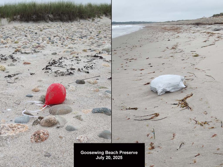 balloons-2025-BE-Goosewing-Beach