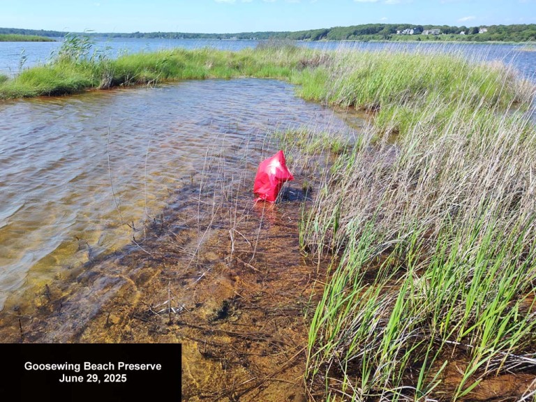 balloons-2025-BF-Goosewing-Beach