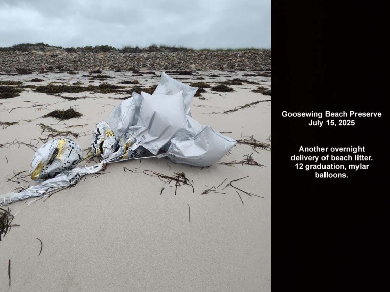 balloons-2025-BJ-Goosewing-Beach