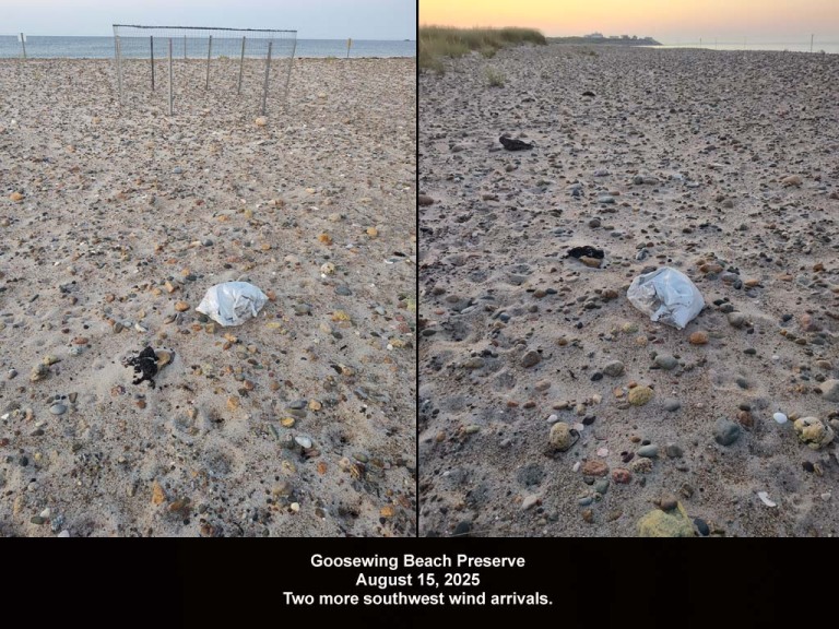 balloons-2025-BL-Goosewing-Beach